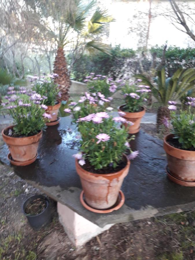B&B Nuraghes Olbia Exterior foto