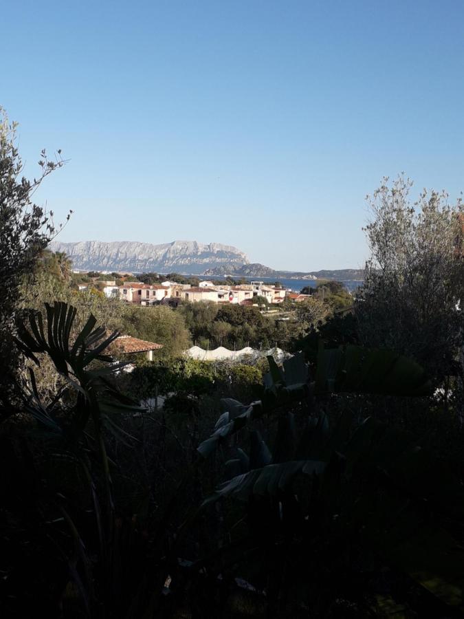 B&B Nuraghes Olbia Exterior foto
