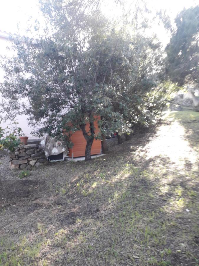 B&B Nuraghes Olbia Exterior foto